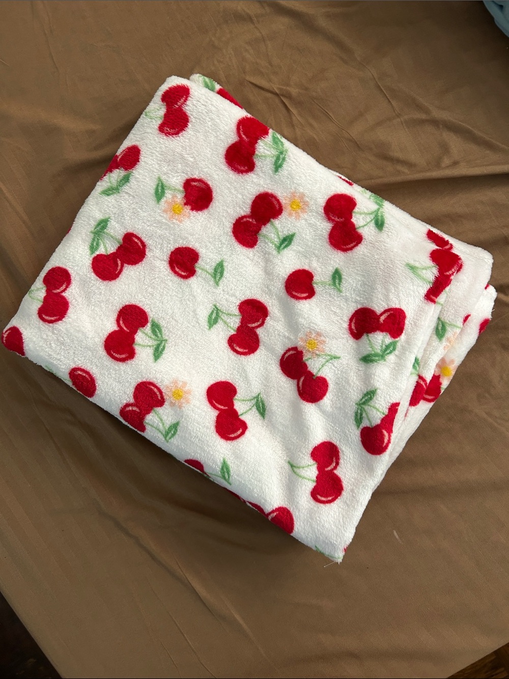 Plush Cherry Print Throw Blanket - White/Red